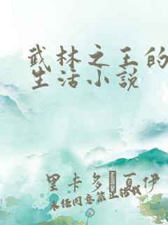 武林之王的退隐生活小说