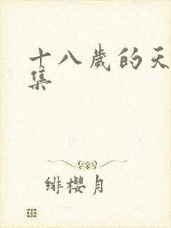 十八岁的天空续集