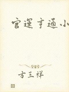 官运亨通小说