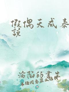 假偶天成泰剧小说