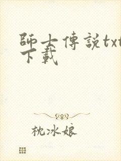 师士传说txt下载