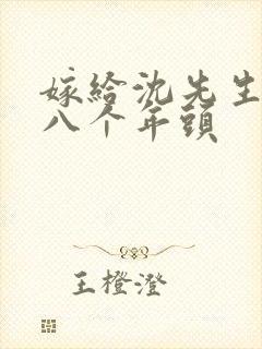 嫁给沈先生的第八个年头