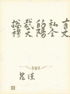 总裁的私有宝贝穆天阳全文阅读