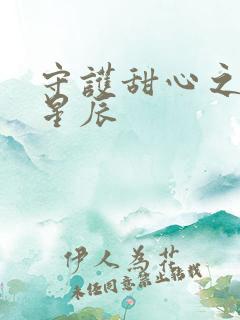 守护甜心之暗夜星辰