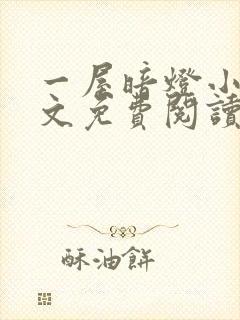 一屋暗灯小说全文免费阅读txt