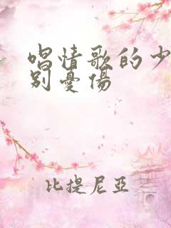 唱情歌的少年请别忧伤