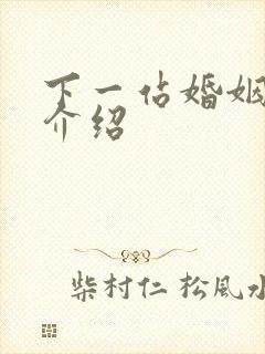 下一站婚姻剧情介绍