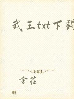 武王txt下载