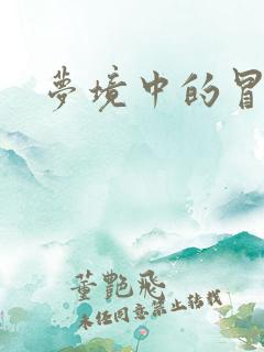 梦境中的冒险家