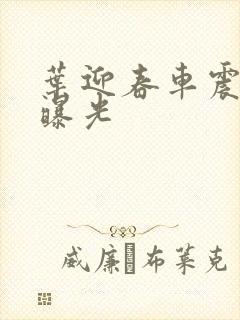 叶迎春车震照片曝光