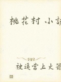 桃花村 小说