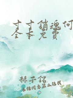 寸寸销魂何生祥全本免费