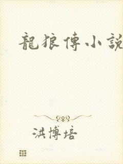 龙狼传小说