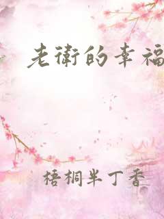 老卫的幸福生活