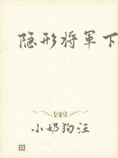 隐形将军下载