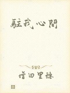 驻我心间