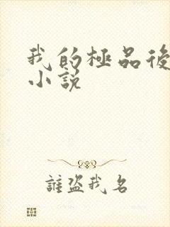 我的极品后宫 小说