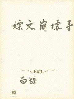嫖文崩坏手册