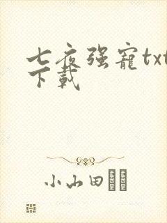 七夜强宠txt下载