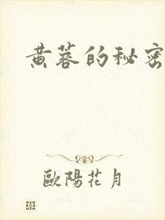 黄蓉的秘密