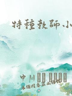 特种教师小说