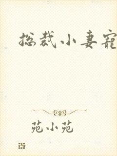 总裁小妻宠上天