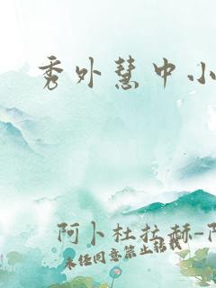 秀外慧中小说