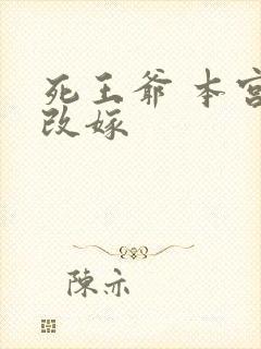 死王爷 本宫已改嫁