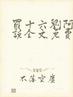 罗十六刘阿婆小说全文免费阅读