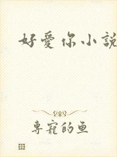 好爱你小说