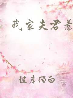 我家夫君惹不起