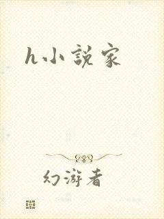 h小说家