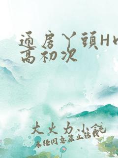 通房丫头H肉辣高初次