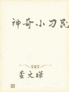 神奇小刁民