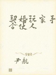 契婚玩家手册之合伙人