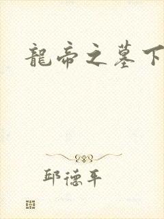 龙帝之墓下载