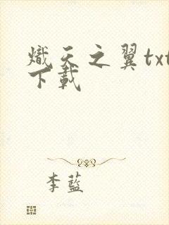 炽天之翼txt下载