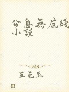 公息无底线的爱小说