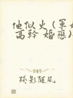 他似火 (军婚 高干 婚恋)全文在线阅读