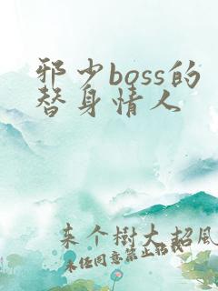 邪少boss的替身情人