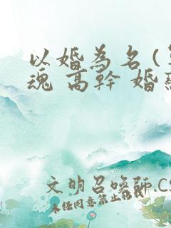 以婚为名 (军魂 高干 婚恋)