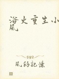 浴火重生小说陈风