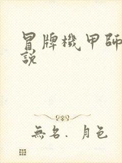 冒牌机甲师 小说