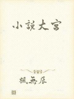 小说大宫