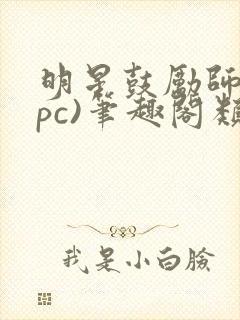 明星鼓励师(npc)笔趣阁类似