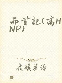 面首记(高H NP)
