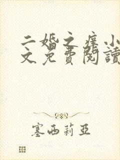 二婚之痒小说全文免费阅读
