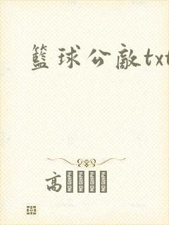 篮球公敌txt
