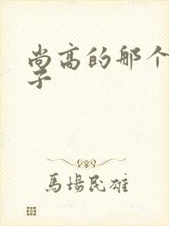 尚高的那个臭小子