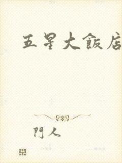 五星大饭店小说